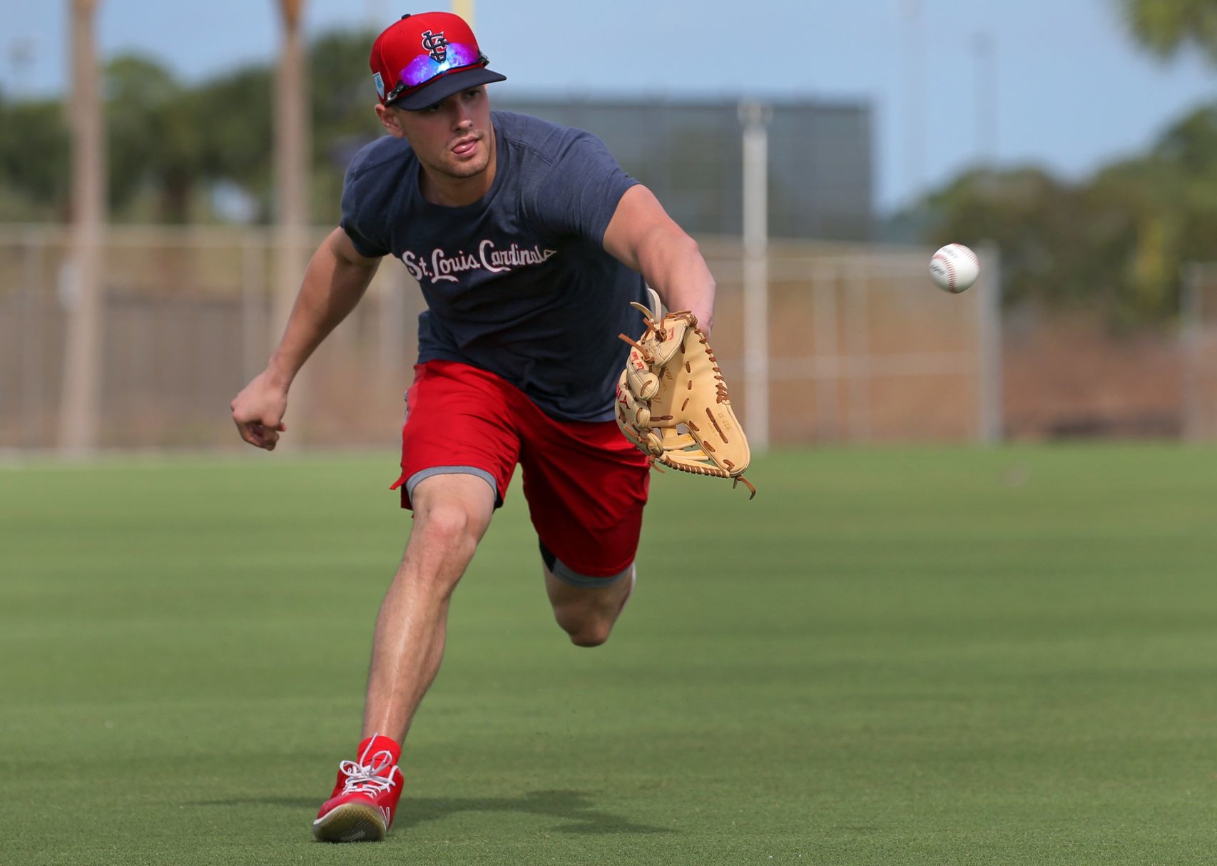 Cardinals spring training continues